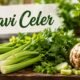 Pravi Celer