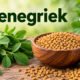 Foenegriek