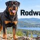 Rodwajlery