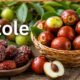Žižole